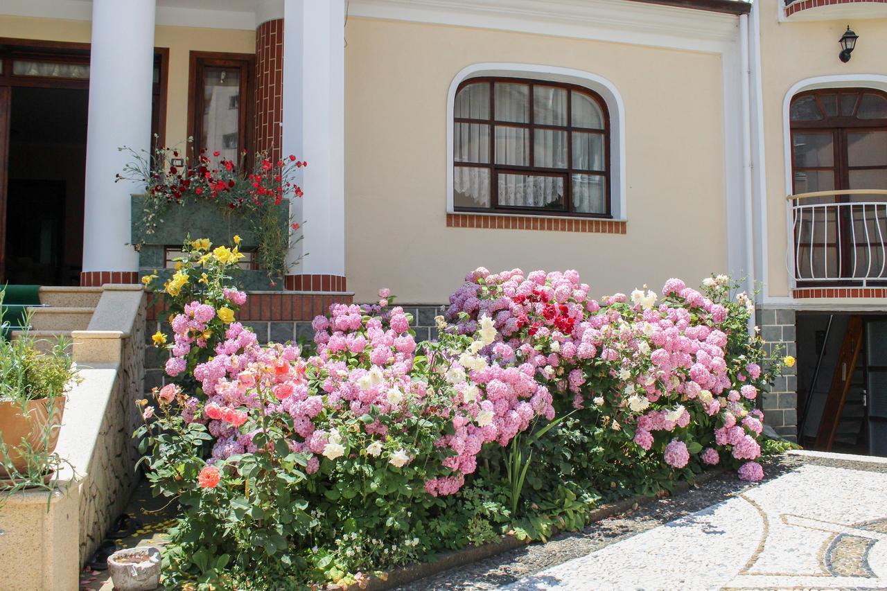 Vila Topciu Pogradec Ngoại thất bức ảnh
